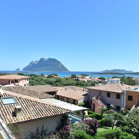 Alba Su Tavolara 300mt Dal Mare Apartment Porto San Paolo (Sardinia)